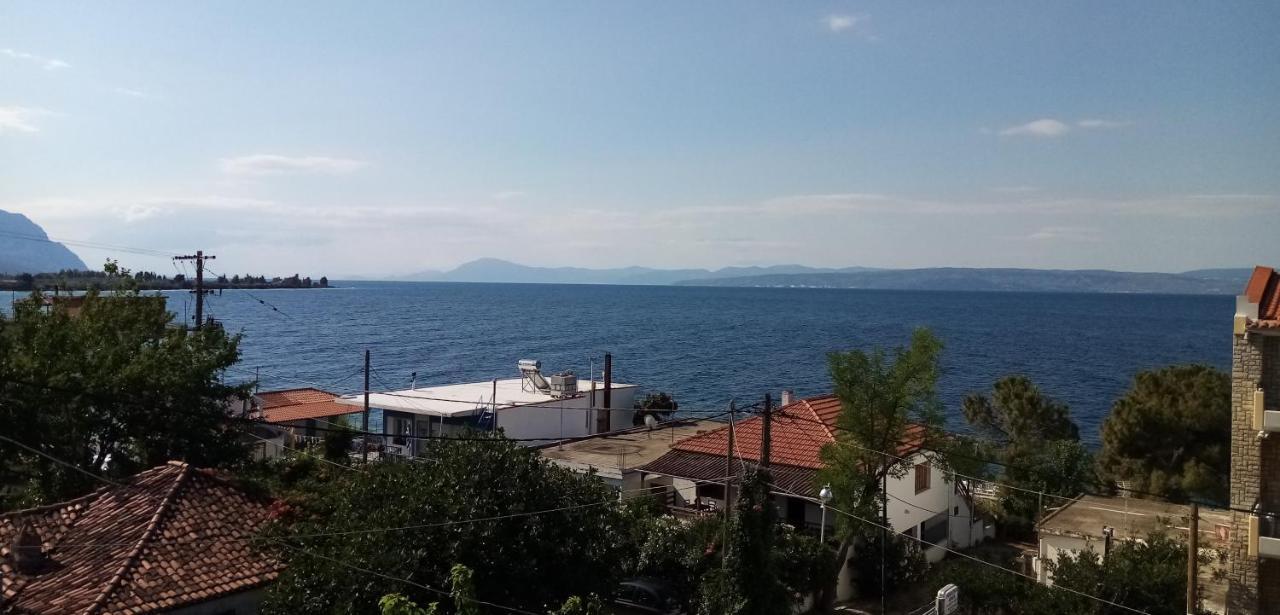 Γεώργιος Παπαϊωάννου Ενοικιαζόμενα Δωμάτια Khrónia Extérieur photo